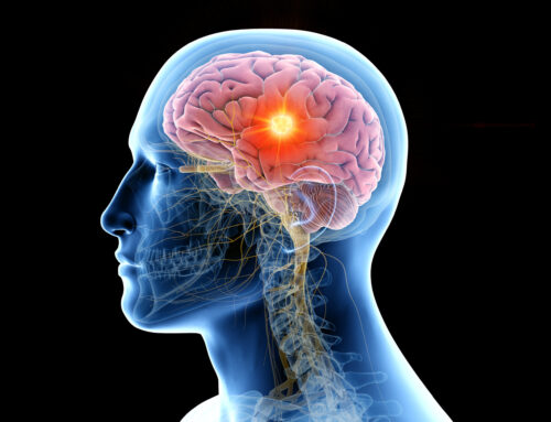 Peptide Therapy Tampa for Brain Health and Focus