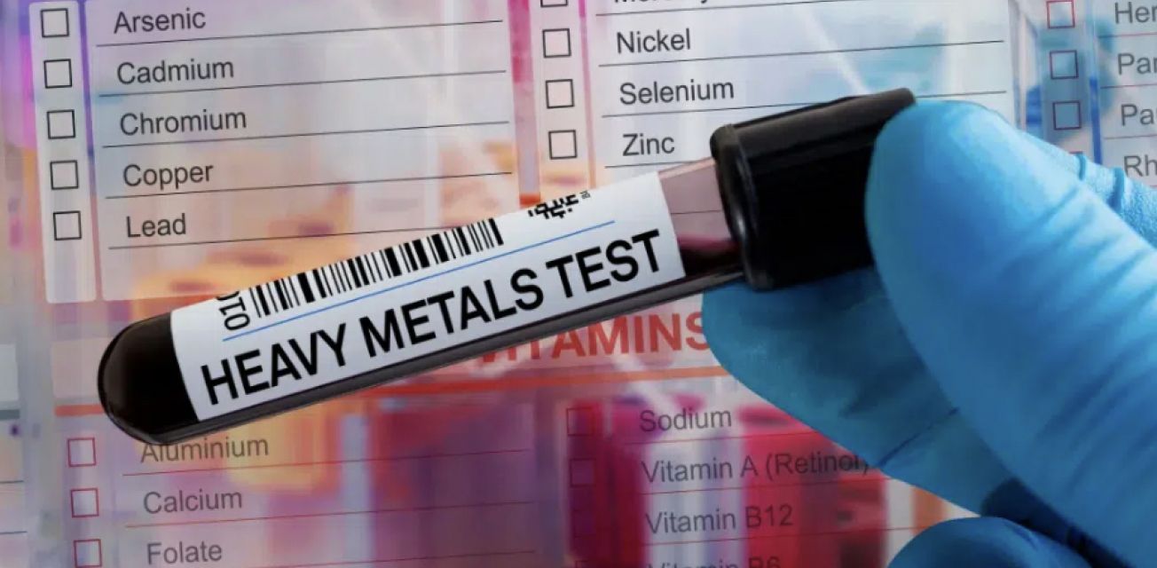 Detox & Gut Reset Tampa | Environmental Toxin Screening Tampa Bay Total Wellness