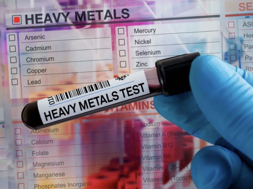 Detox & Gut Reset Tampa | Environmental Toxin Screening Tampa Bay Total Wellness