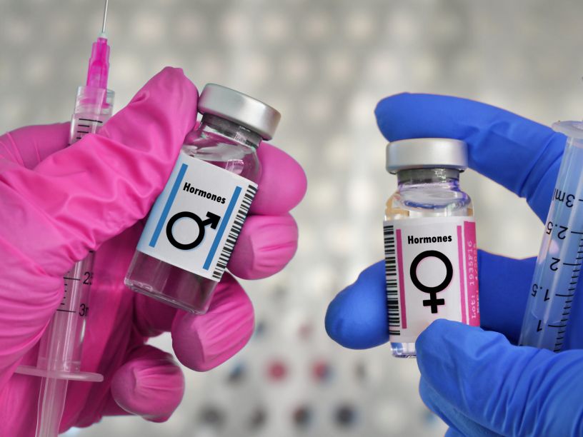 Hormone Therapy Tampa